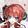 huo___firecat