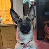 maquandefu
