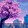 imblue___________1