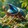 Walut_9633