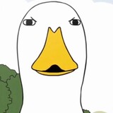 don-lim