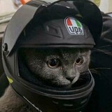 ゙゙゙゙゙゙゚゚゚゚