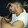 Jewel Hossain-