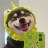 dabaoaigaoxiao