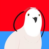 beijihuaweige