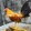 All_bantam20