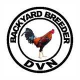 DVNBackyard