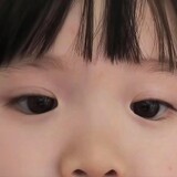 ____xiangcaichengzi