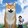 yangxiaoyi_typetwo