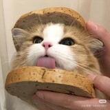 huantingcut