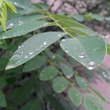 ____zhongshou