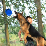 daozhushuoshuogou