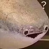 fyshyufeiyu