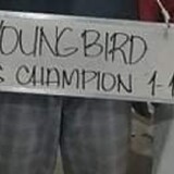 YoungBirdgf