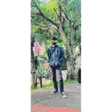dims031