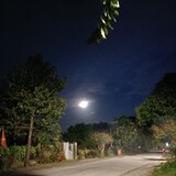 dinh tập làm video