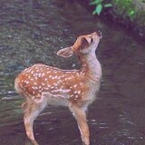 ___iaoxidejiyibao