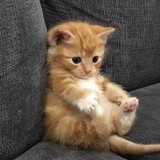 xiaoxiaoxiaoxiaoxiao