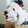cherie_bears