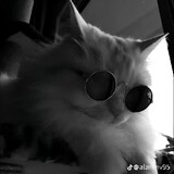Xenon_fix