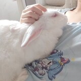 ___shengkusar