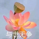 Shenshenshenheyia