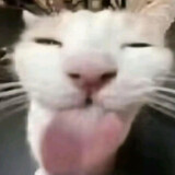 bnenmi