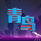qingniaodianying