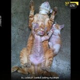 bocil_gilewkwkwkw