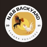 NBBminiBackyard