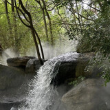 meilanzhujupinzhi
