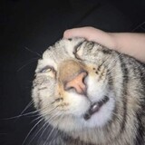 YtPhanHy