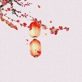 ziyijingnian