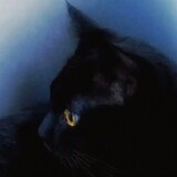 chutathipp38_03