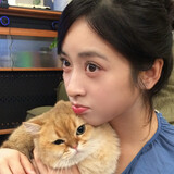 yiyueoi