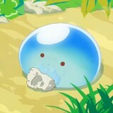 rimoy