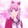 litexiaotianshi