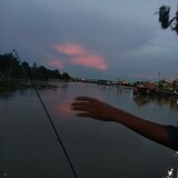 ต้า ฟิล