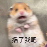 osarari_05
