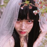 taoxinliuliuzi