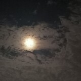 liuliantangshui12314