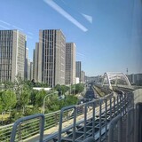 zaojunmiaodonglu