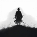 LONE WARRIOR MOVIES