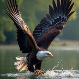 EAGLE. X