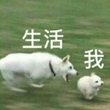 baixiaoshiyouhailaji