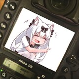 nalinxuefengynikonニコ