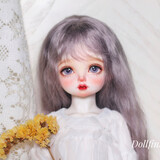 dollfinsea