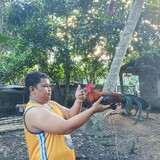 BrotherLowi