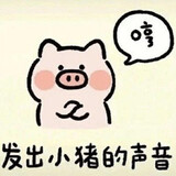 zhuerxiangdingdang