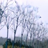 aiwu-